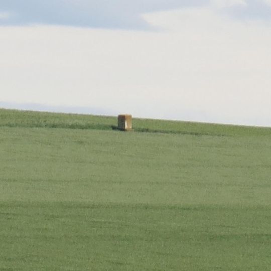 Kříž v poli severně od Veliké Vsi