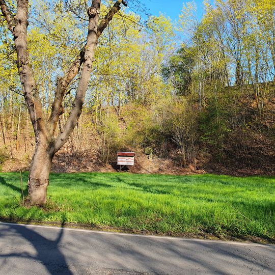 Zechstein-Aufschluß bei Wetterzeube