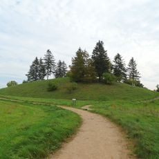 Pavandenės alkakalnis