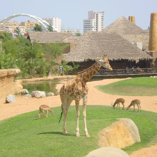 Bioparc València