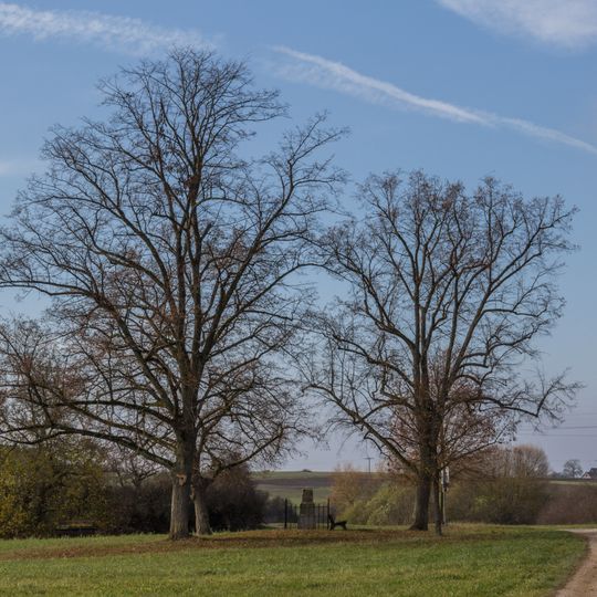Vier Friedenslinden von Dörlbach