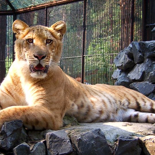 Ogród zoologiczny w Nowosybirsku