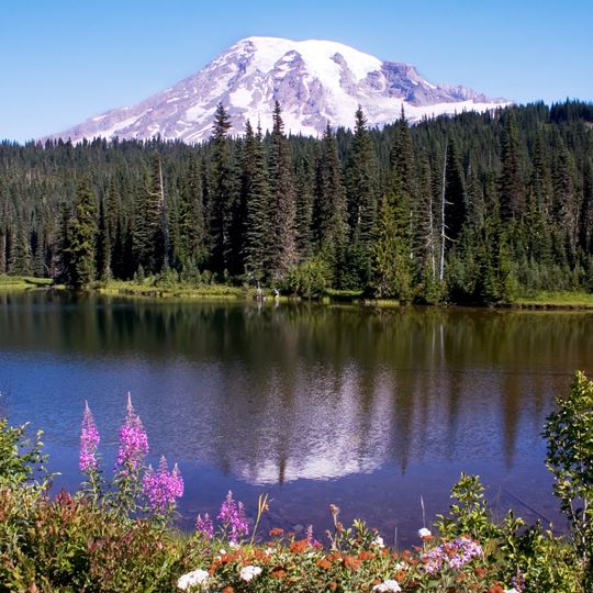 Clearwater Wilderness