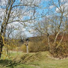 Pflanzenstandort "Bühl"