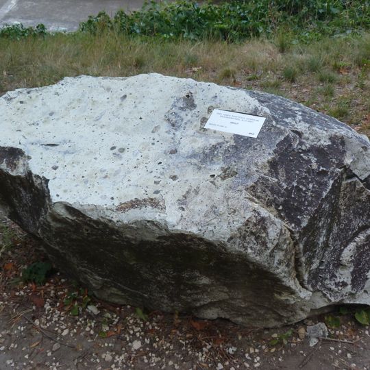 Riserva naturale di Jókai-kert