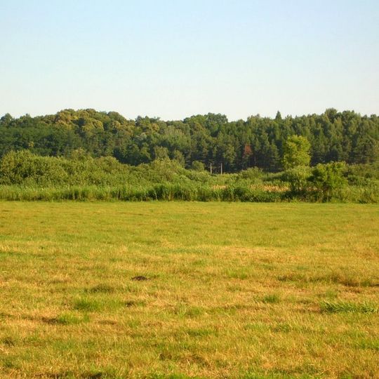Nature reserve Kruszyn