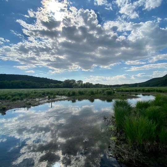 Riserva naturale dei Laghi di Doberdò e Pietrarossa