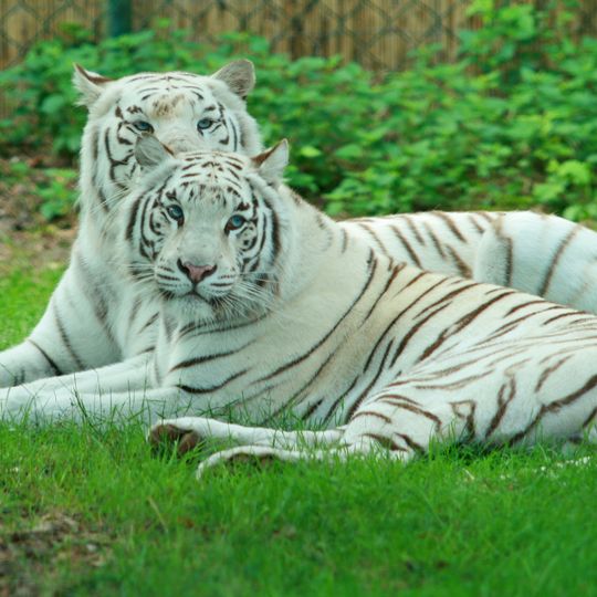 Safariland Stukenbrock