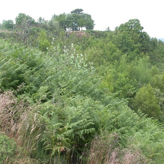 Caesar's Camp, Rushmoor and Waverley