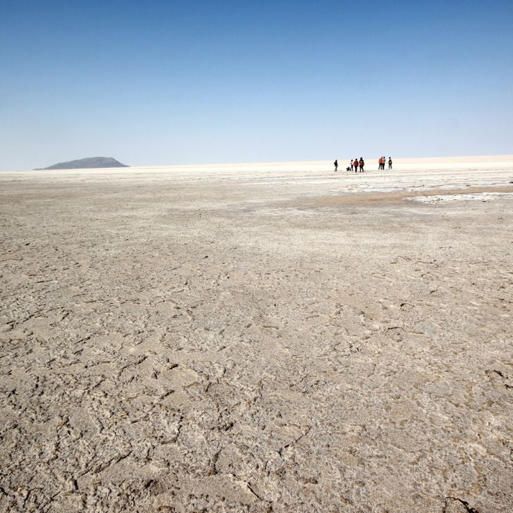 カッチの大湿地