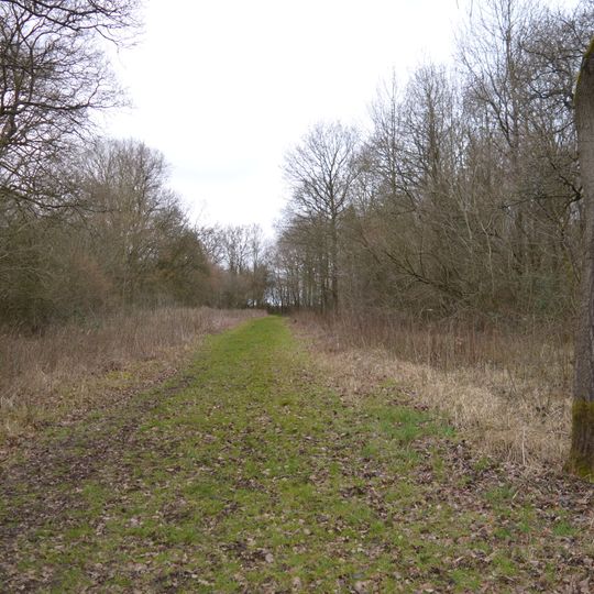 Ham Home-cum-Hamgreen Woods