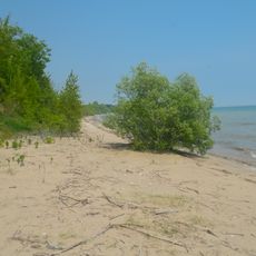 Two Creeks Buried Forest State Natural Area