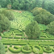 Boxwood maze