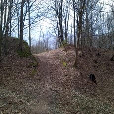 Oppidum du Fossé des Pandours