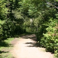 Mahoney Park