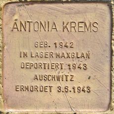 Antonia Krems