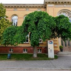 Berg-Ulme Wilhelm-Griesinger-Krankenhaus