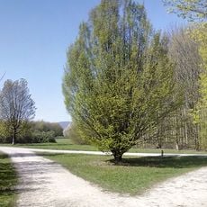 Arboretum Main-Taunus