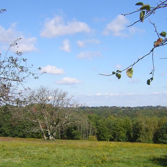Governor Hutchinson's Field
