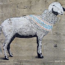 Graffiti