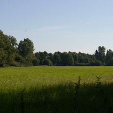Wachendorfer/Gödestorfer Bruch