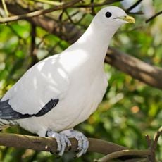 Hope Islands National Park