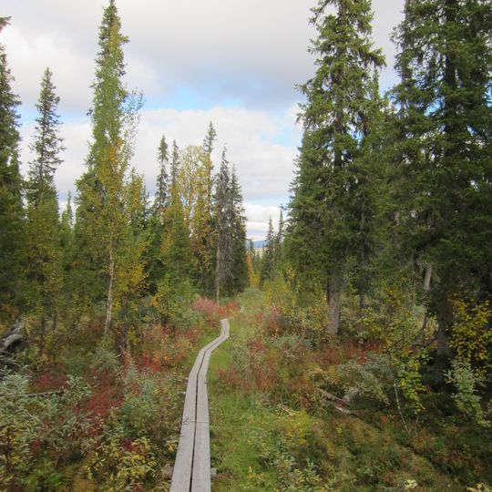 Kvikkjokk-Kabla fjällurskog