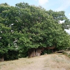 Souto de Rozavales