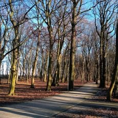 Stefan Zeromski Park