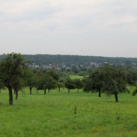 Kirdorfer Feld bei Bad Homburg