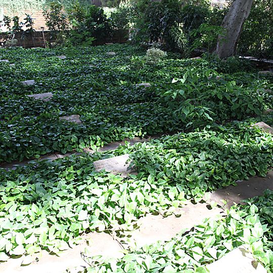 Deutsche Kriegsgräberstätte Alt-Kairo