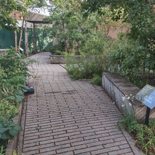 Carroll Street Community Garden