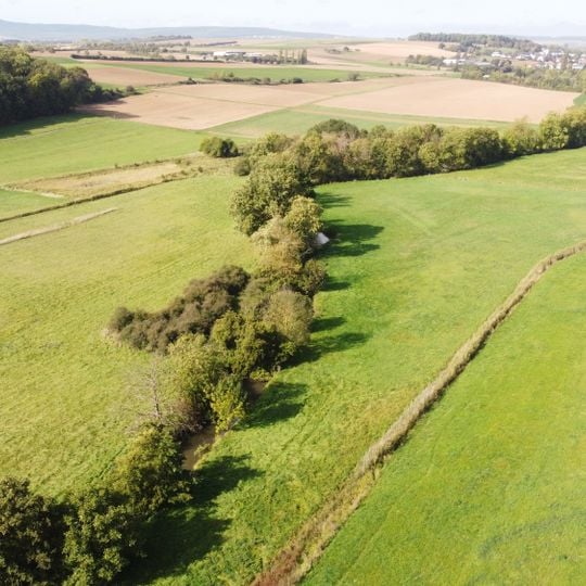 Salzwiesen von Wisselsheim