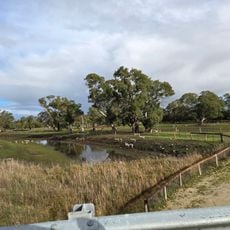 Reedy Creek Conservation Park