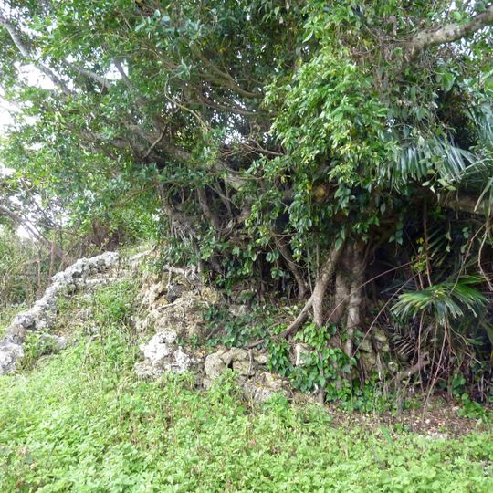 Jardín de plantas tropicales de la Ciudad de Miyakojima