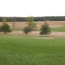 Eichelberg und Bischofsau