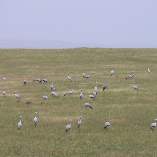 Bontebok National Park