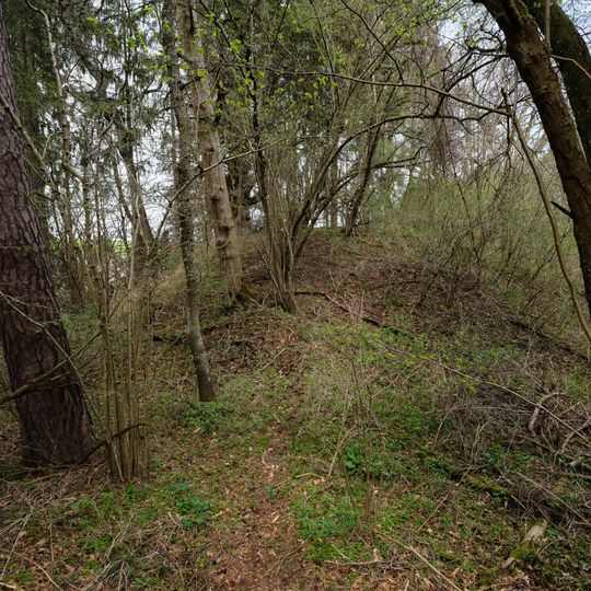 Burgstall Schlößlesbühl