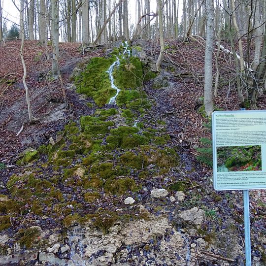 Muschelkalkhänge von Großbartloff bis Faulungen