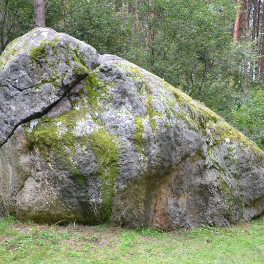 The great boulder of Dzukija
