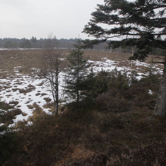 Tourbière Des Charmes