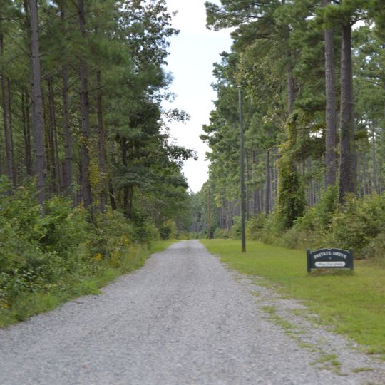 Newington Archaeological Site