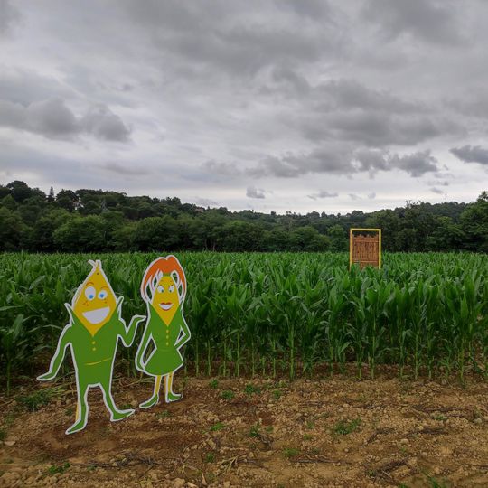 Pop Corn Labyrinthe Urrugne - Labyrinthe Géant