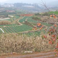 Hexi Town, Tonghai County