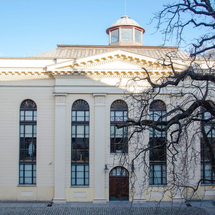 Den hvite storkens synagoge