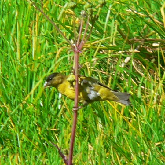 Stadtpark La Florida