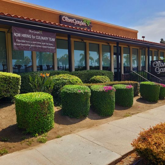 Olive Garden