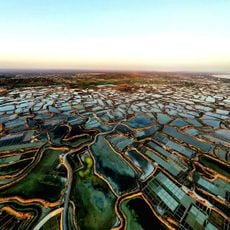 Guérande salt marshes