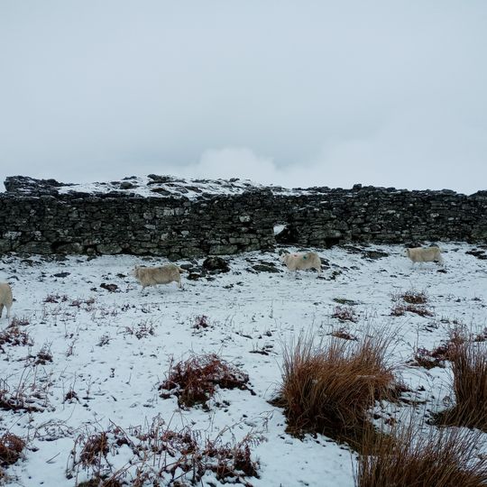 Grumbeg,depopulated township,N shore of Loch Naver