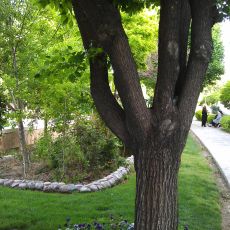 Behjatabad Park